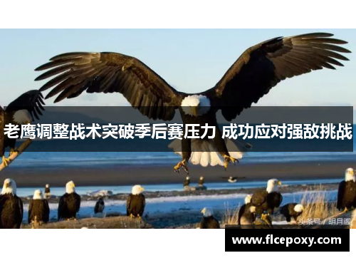 老鹰调整战术突破季后赛压力 成功应对强敌挑战