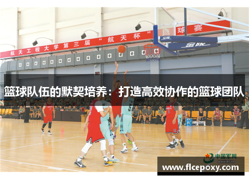 篮球队伍的默契培养：打造高效协作的篮球团队