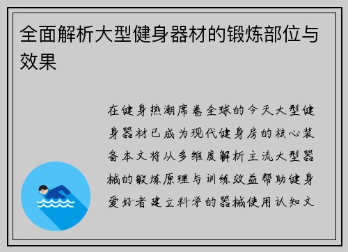 全面解析大型健身器材的锻炼部位与效果