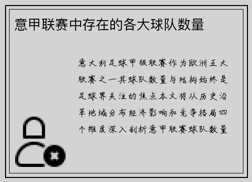 意甲联赛中存在的各大球队数量